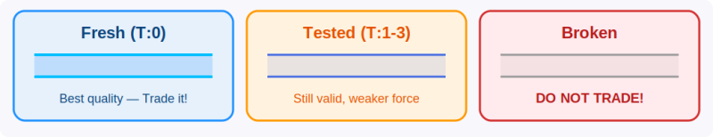 ไฟล์:DSZ 05 status.png